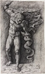 Faun attackerar en orm